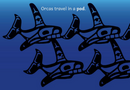 A Flock of Gulls, A Chorus of Frogs (BD)