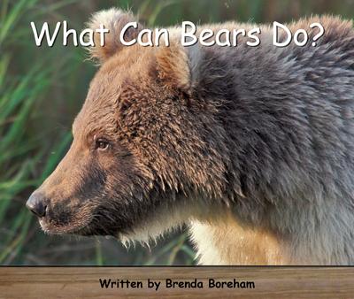 Strong Readers Set A Level 2 - What can bears do?