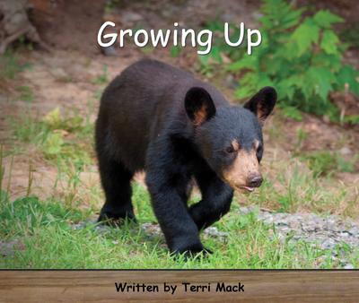 Strong readers Set A Level 2 - Growing up