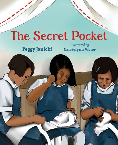 The Secret Pocket (HC)