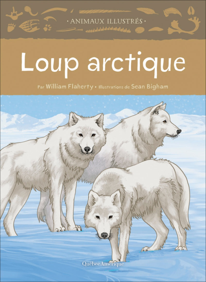 Animaux illustrés: Loup arctique / Arctic Wolf (FR)