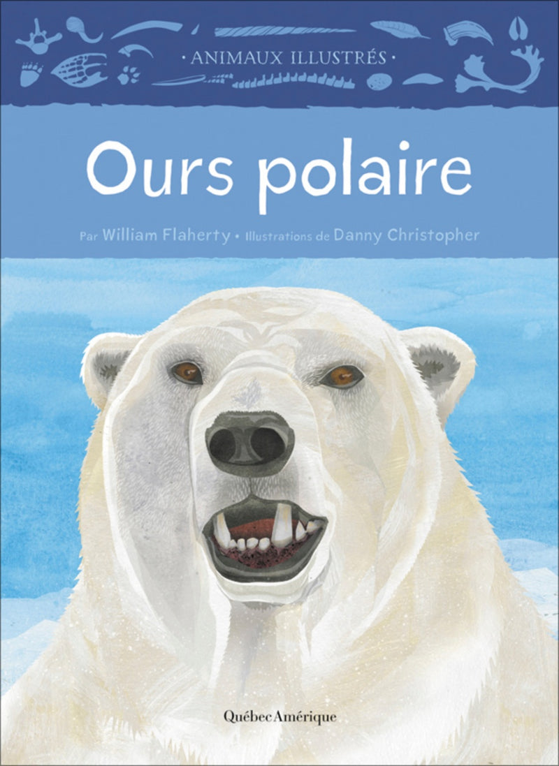 Animaux illustrés: Ours polaire / Polar Bear (FR)