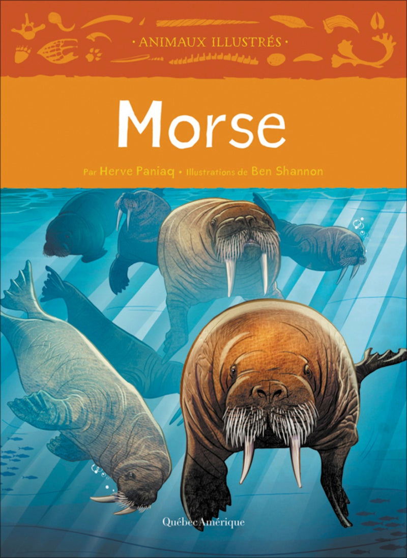 Animaux illustrés: Morse / Walrus (FR)