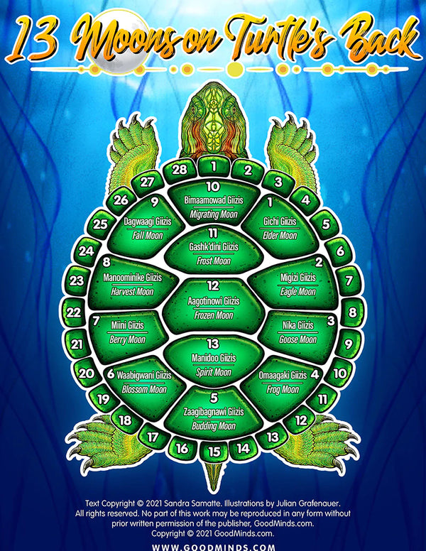 Free Resource 13 Moons on Turtle's Back (Info and Cut-Outs Books)