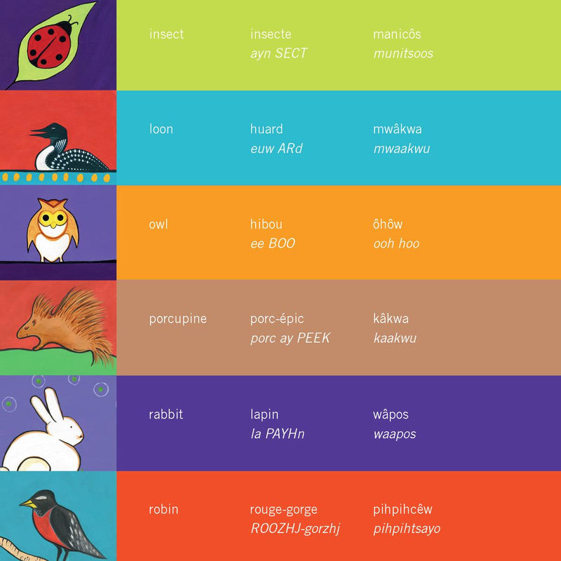 Discovering Animals : English, French, Cree (Pre-Order for Sept 9/25)