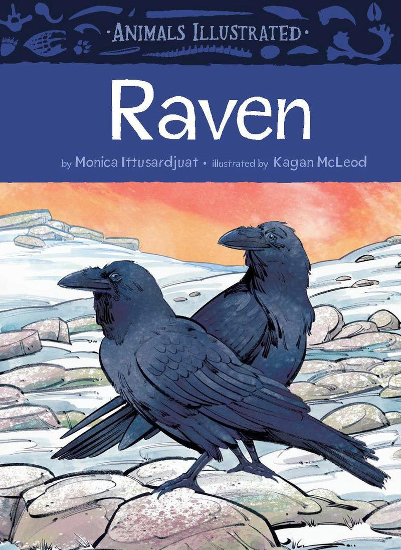 Animals Illustrated: Raven (Pre-Order for June 18/24)