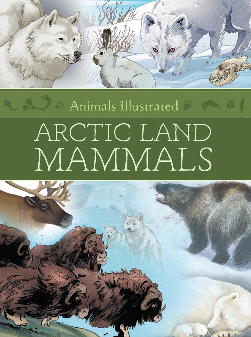 Animals Illustrated : Arctic Land Mammals (Pre-Order for Oct 21/25)