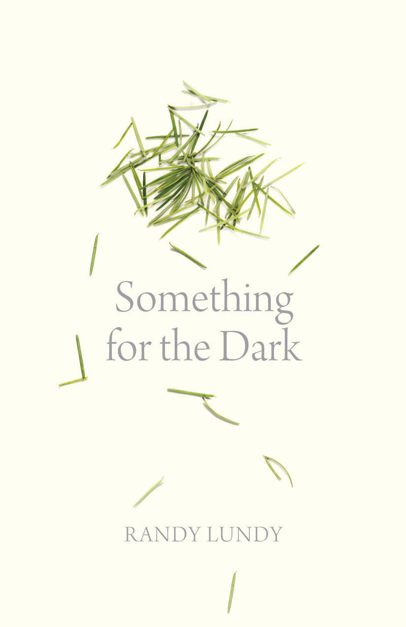 Something for the Dark (Pre-Order for Sept 2/25)