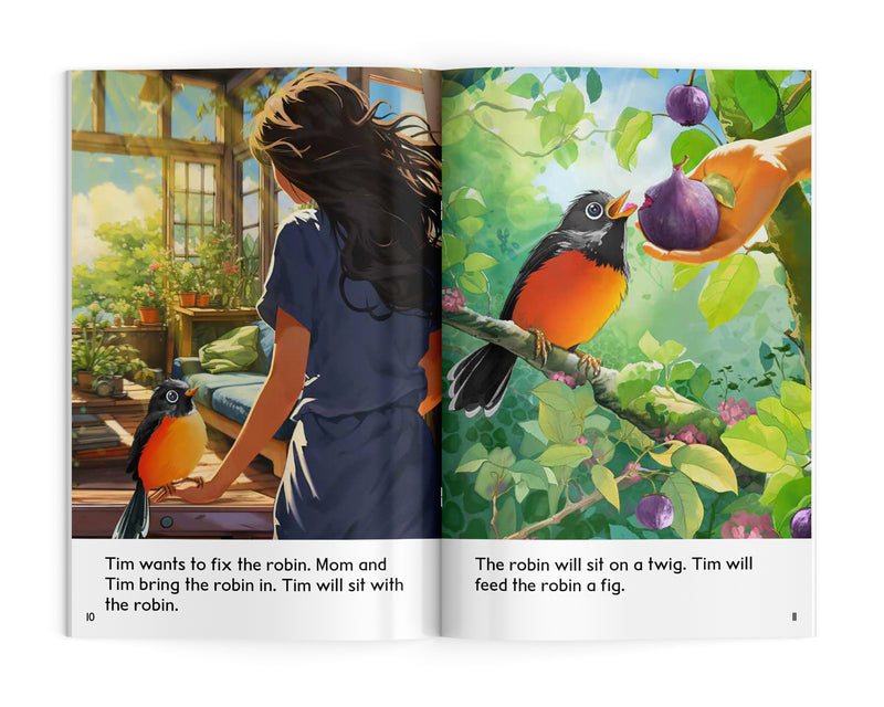 Drumbeat Decodable Book Collection : Tim and Robin (Pre-Order for May 30/24)