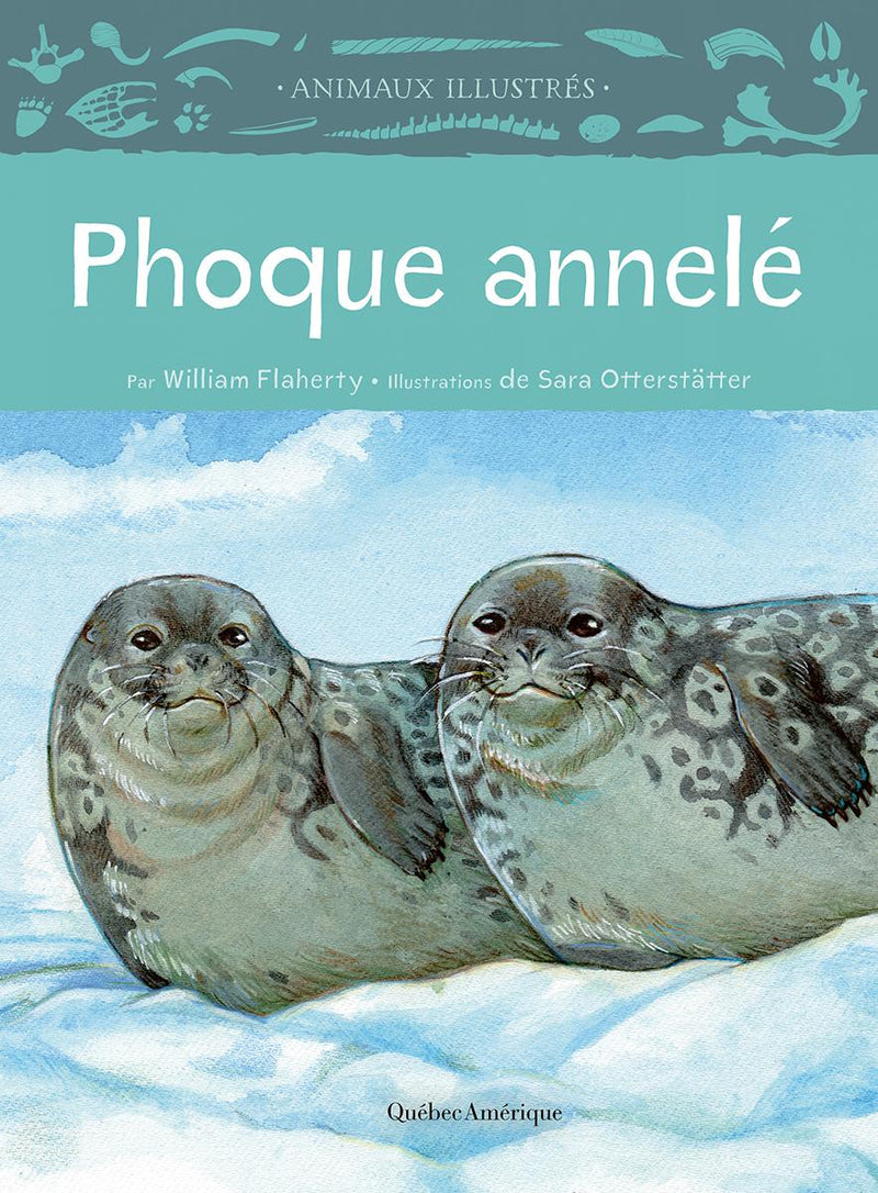 Animaux illustrés: Phoque annelé / Ringed Seal (FR)