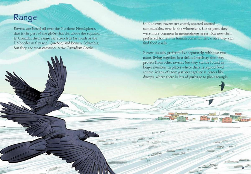 Animals Illustrated: Raven