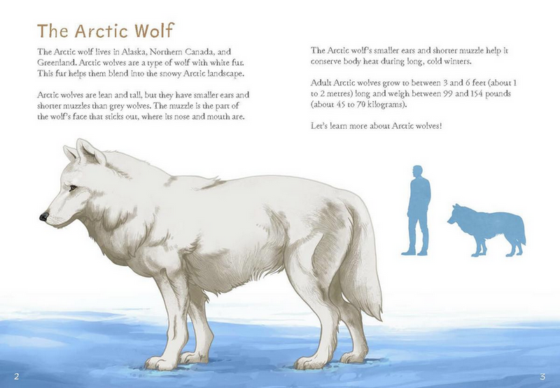 Animals Illustrated: Arctic Wolf