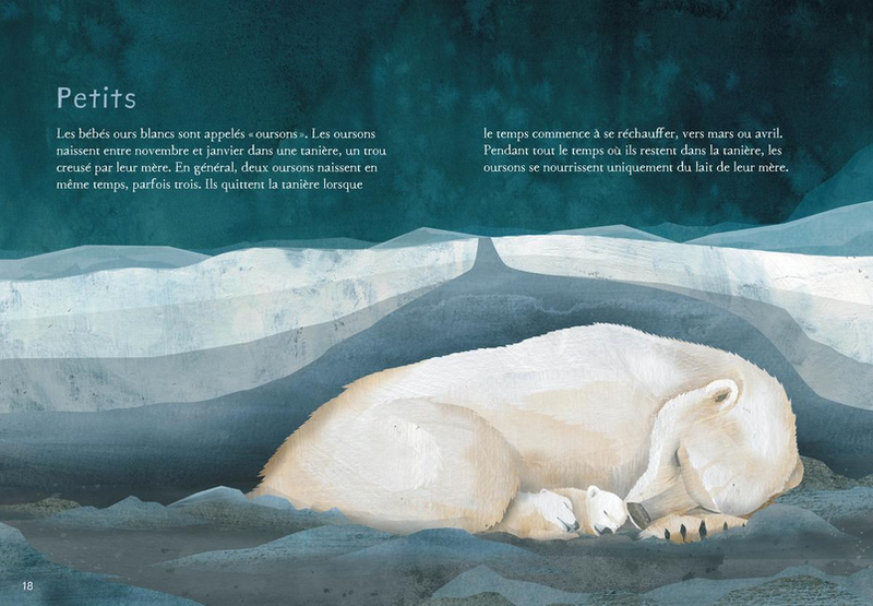 Animaux illustrés: Ours polaire / Polar Bear (FR)