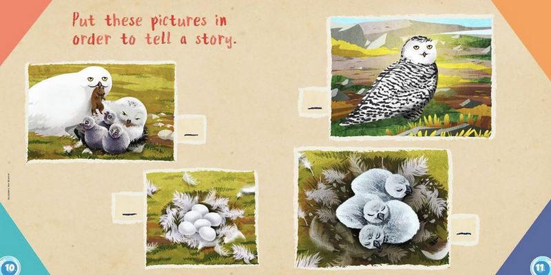 Ukaliq Snowy Owls! Fun for Little Nunavummiut (activity book)