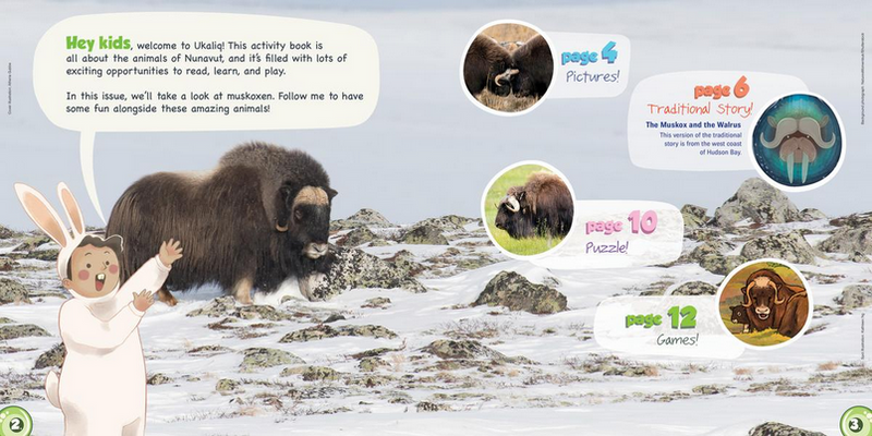 Ukaliq: Muskoxen! Fun for Little Nunavummiut 8