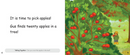 Apple Picking : Cedar School Decodables Set 5