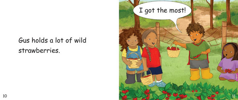 Wild Strawberries : Cedar School Decodables Set 5