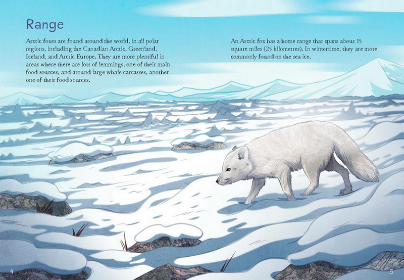 Animals Illustrated: Arctic Fox