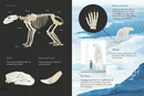 Animals Illustrated : Arctic Land Mammals