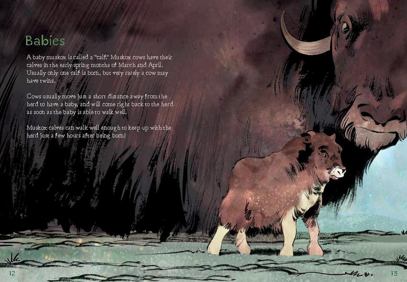 Animals Illustrated: Muskox