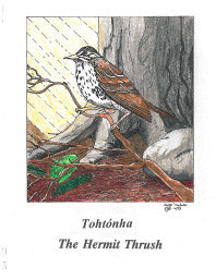 Tohtonha - The Hermit Thrush