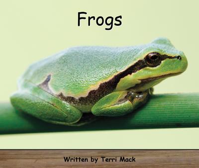 Strong Readers Set A Level 1 - Frogs
