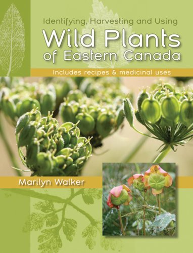 Wild Plants of Eastern Canada