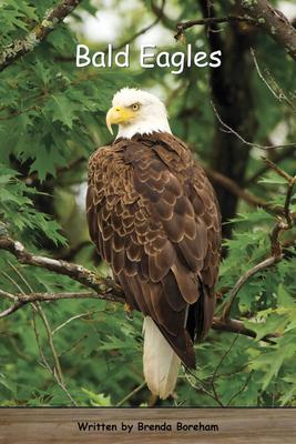 Strong Readers Set B Level 13 - Bald eagles