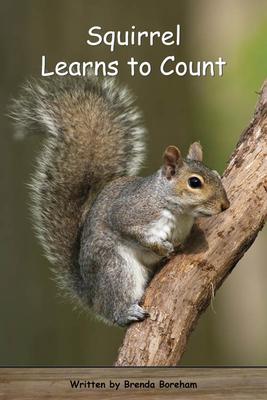 Strong Readers Set B Level 13 - Squirrel learns to count