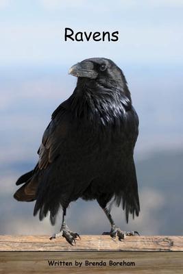 Strong Readers Set B Level 14 - Ravens
