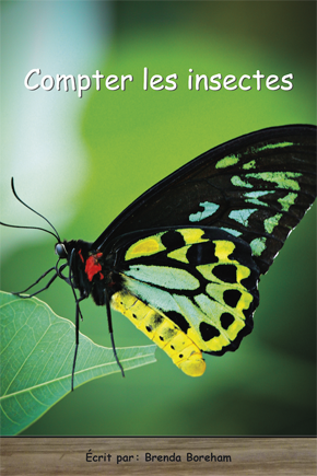 Collection Lecteurs forts - B: Compter les insectes (N11)
