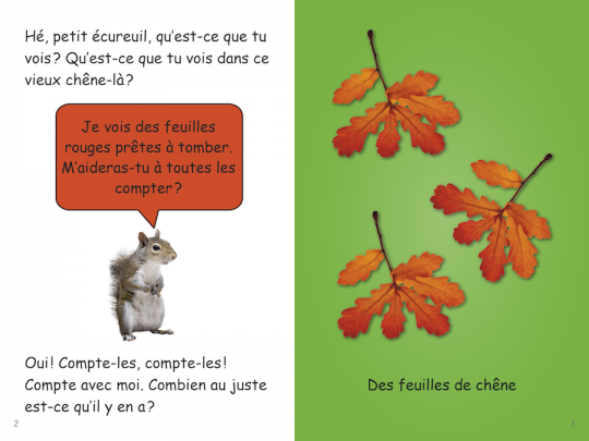 Collection Lecteurs forts - B: Écureuil apprend à compter (N11)