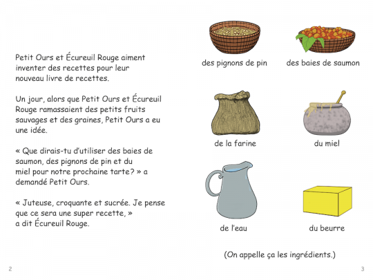 Collection Lecteurs forts - B: Le livre de recettes de la Forêt des Pins (N15)
