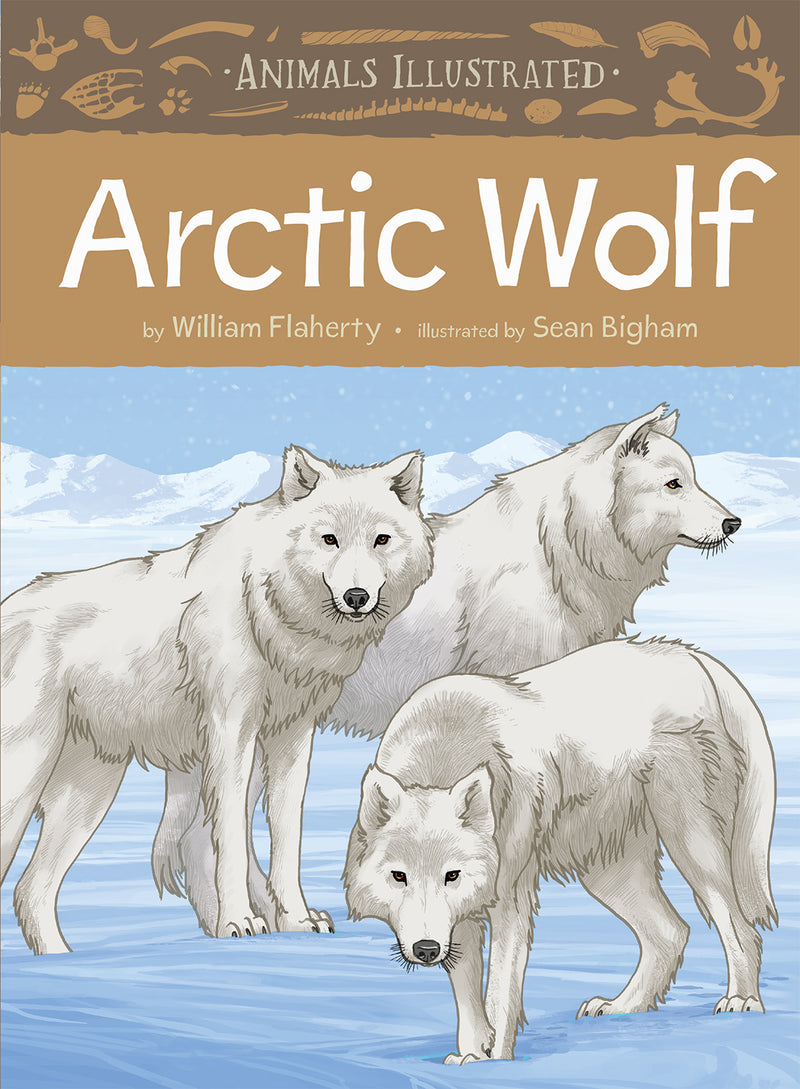 Animals Illustrated: Arctic Wolf