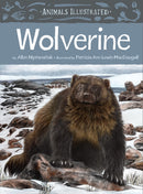 Animals Illustrated: Wolverine (FNCR 2022)