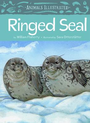Animals Illustrated: Ringed Seal (FNCR 2023)