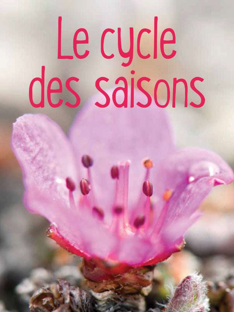 Le cycle des saisons / Seasonal Cycles (FR)