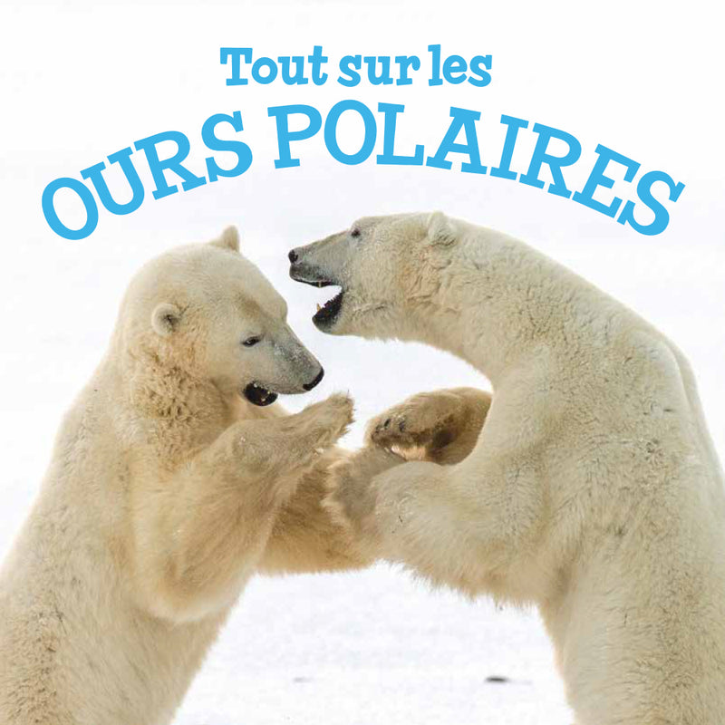 Tout sur les ours polaires / All About Polar Bears (FR)