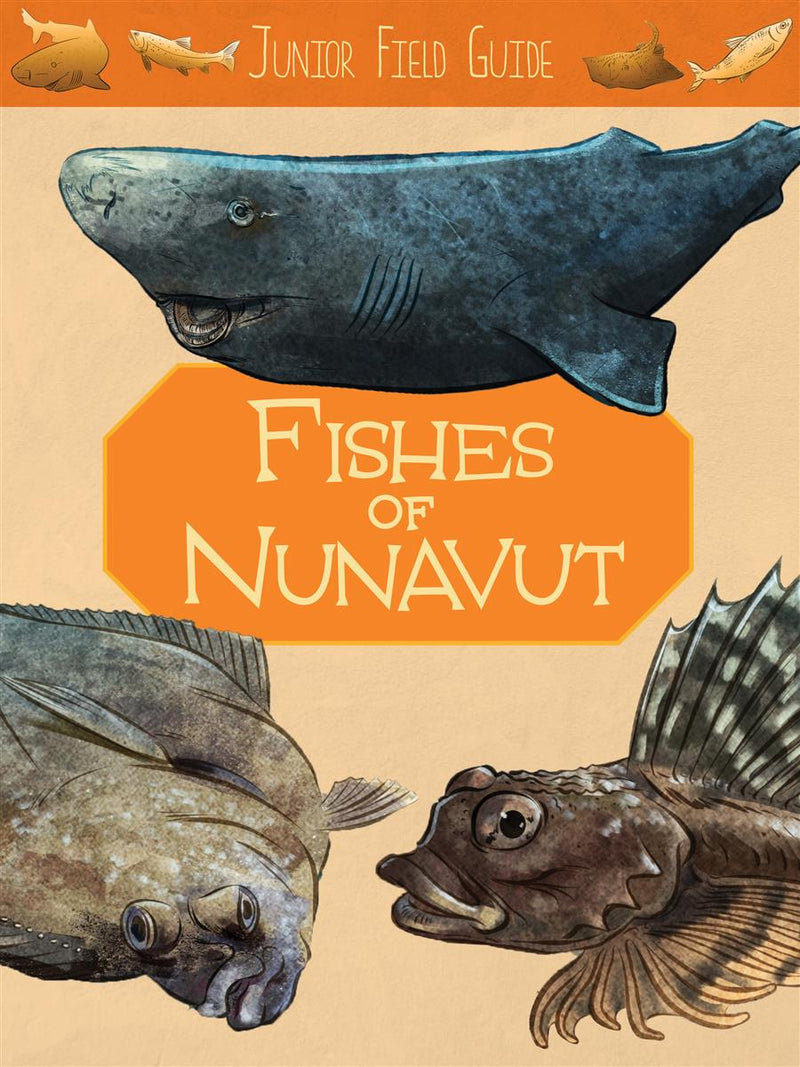Junior Field Guide : Fishes of Nunavut