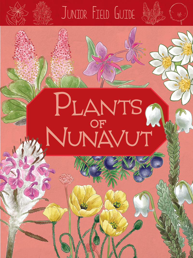 Junior Field Guide : Plants of Nunavut