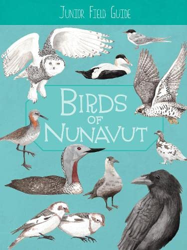 Junior Field Guide : Birds of Nunavut