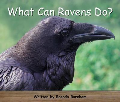Strong Readers Set A Level 4 - What can ravens do?