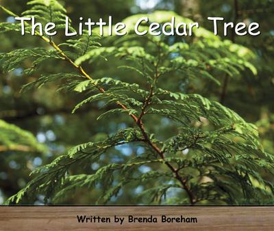 Strong Readers Set A Level 7 - The little cedar tree
