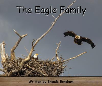 Strong Readers Set A Level 8 -The eagle family