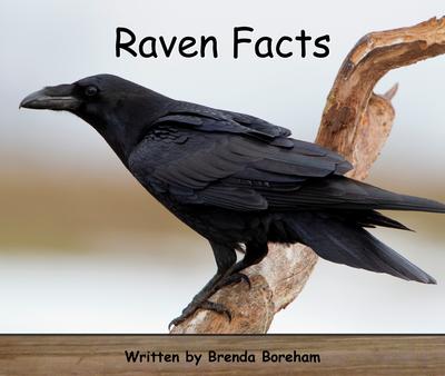 Strong Readers Set A Level 9 - Raven facts