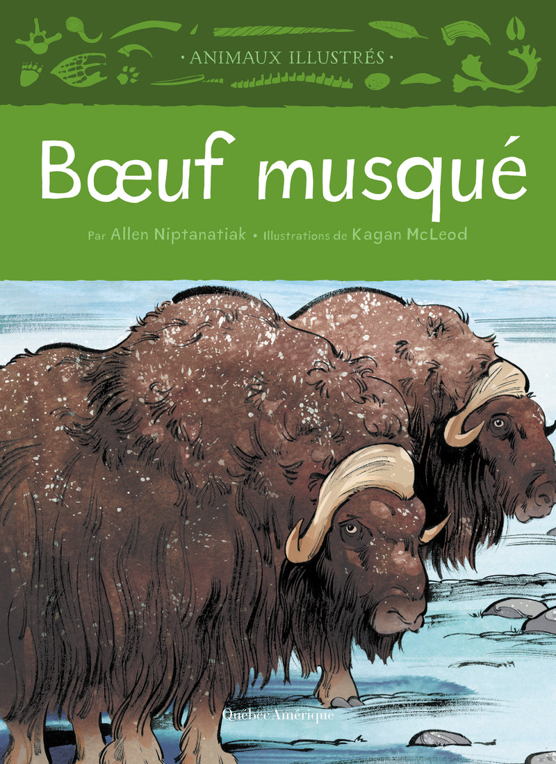 Animaux illustrés: Bœuf musqué/  Muskox FR