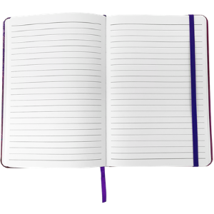 Blue Eagle Journal - LIMITED QUANTITIES